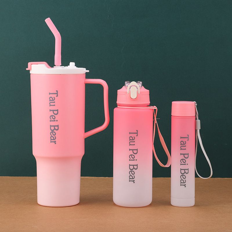 Tumbler 3 in 1 bottle set with Straw