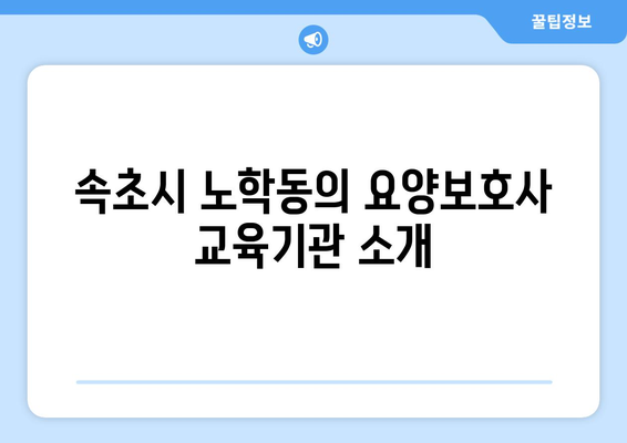 강원도 속초시 노학동 요양보호사 자격증 | 요양보호사 국비지원 바로가기 | 내일배움카드