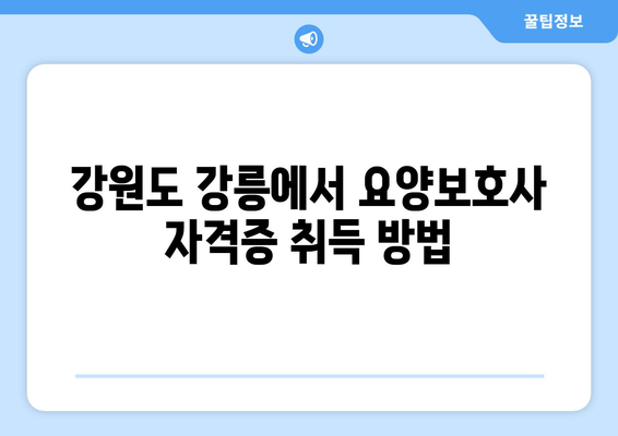 강원도 강릉시 포남1동 요양보호사 자격증 | 요양보호사 국비지원 바로가기 | 내일배움카드